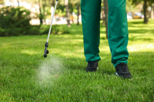 Best Ant Control Services  in Key Biscayne, FL
