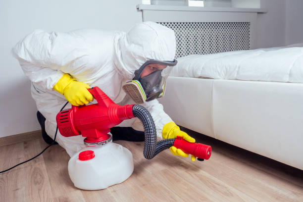 Best Pest Prevention Services  in Key Biscayne, FL